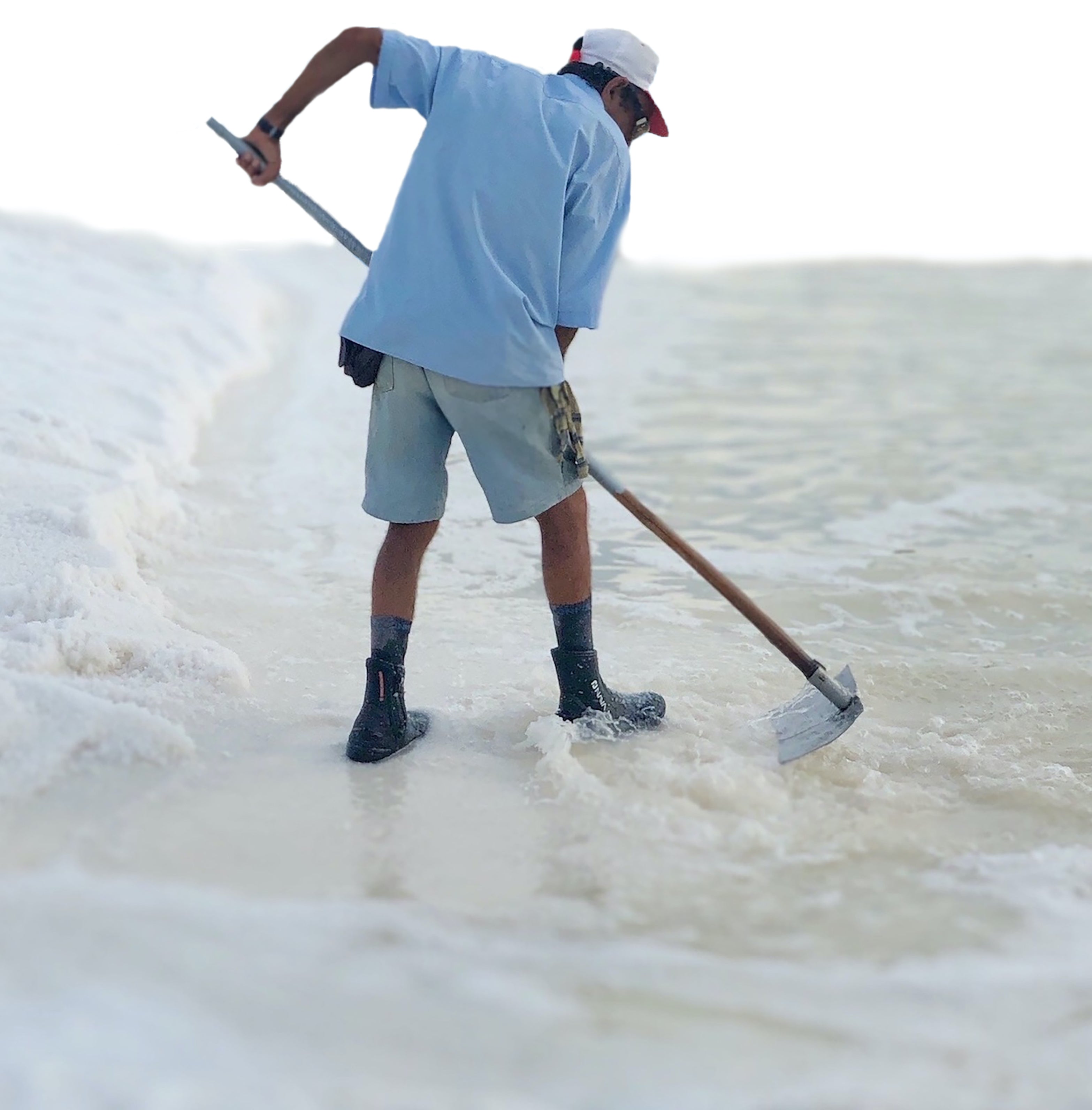 Hand harvested sea salt, organic salt, healthy salt, salt, ملح، ملح البحر، ملح عضوي